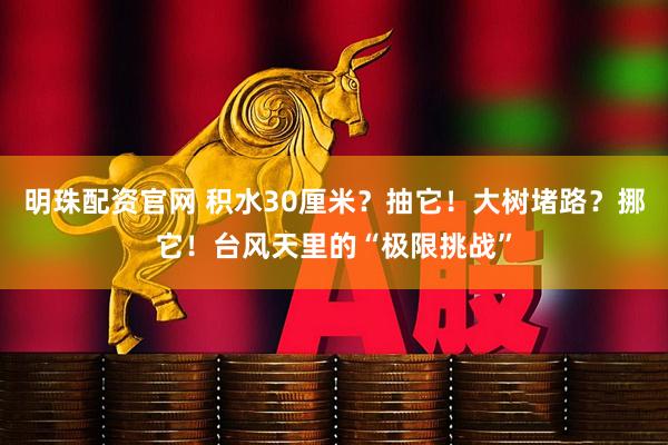 明珠配资官网 积水30厘米？抽它！大树堵路？挪它！台风天里的“极限挑战”